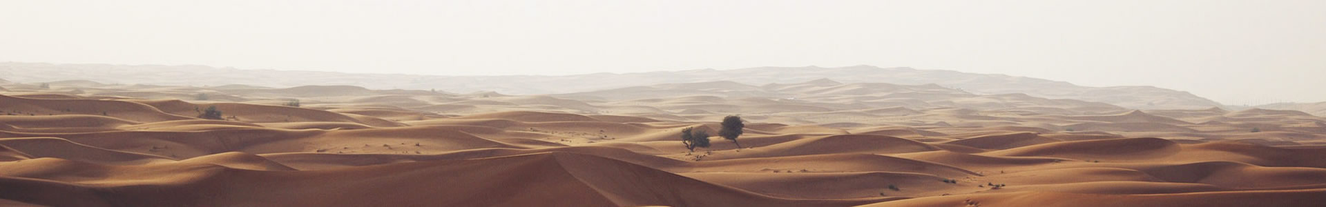 ϳ-ԴƼ޹˾